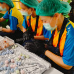 31-05-67-ออกบูธบ้านอุบลฮักแพง-10