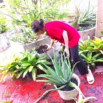 02-07-68 จิตอาสาทำความสะอาด 9